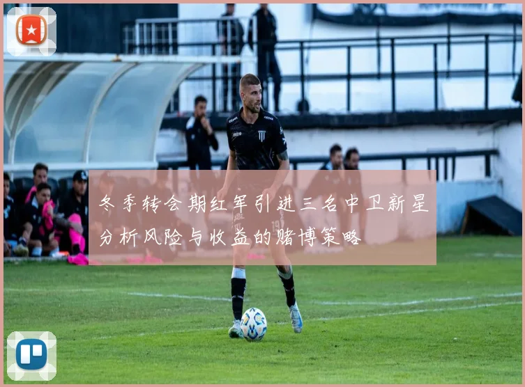 冬季转会期红军引进三名中卫新星分析风险与收益的赌博策略